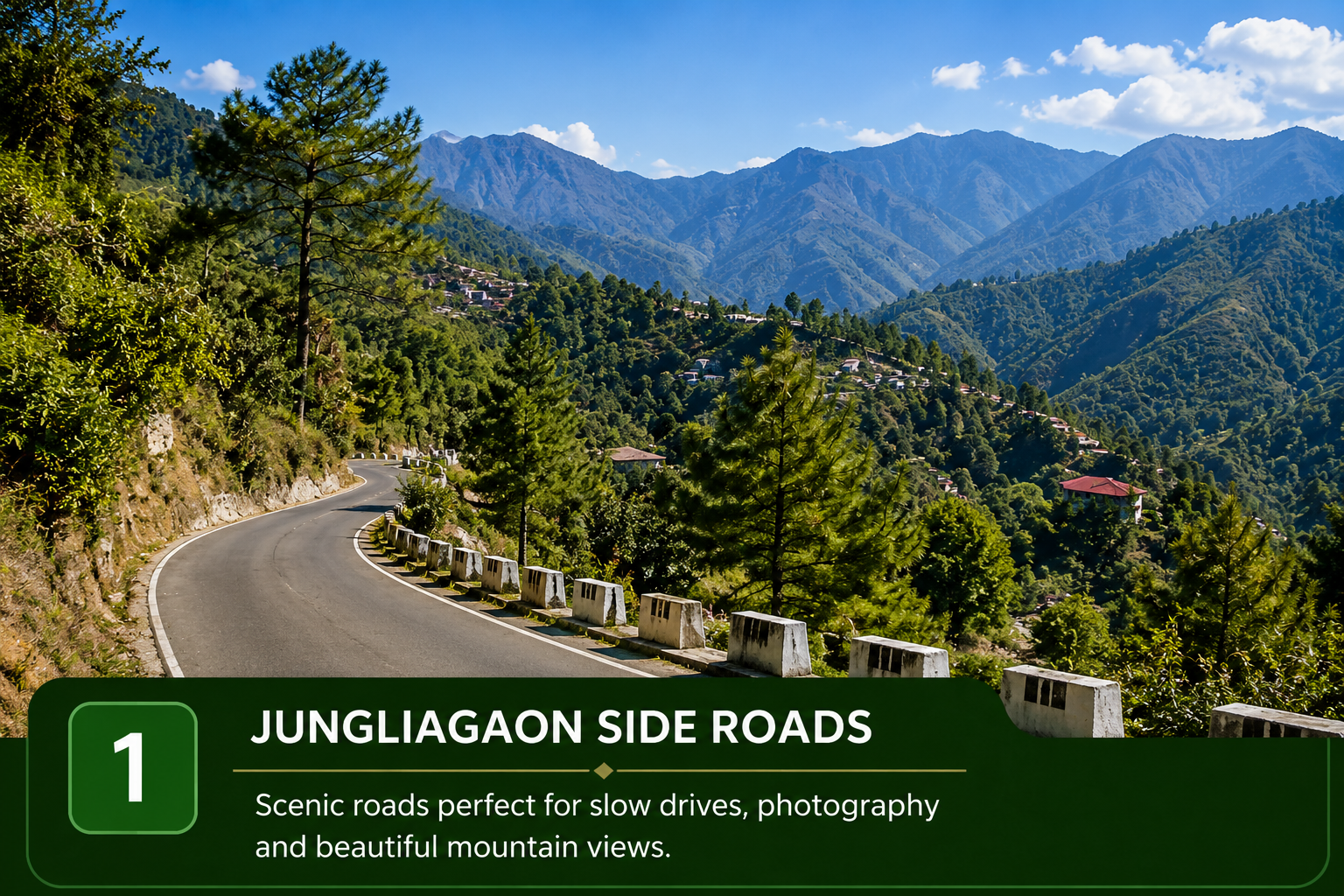 Jungliagaon scenic road near Naukuchiatal