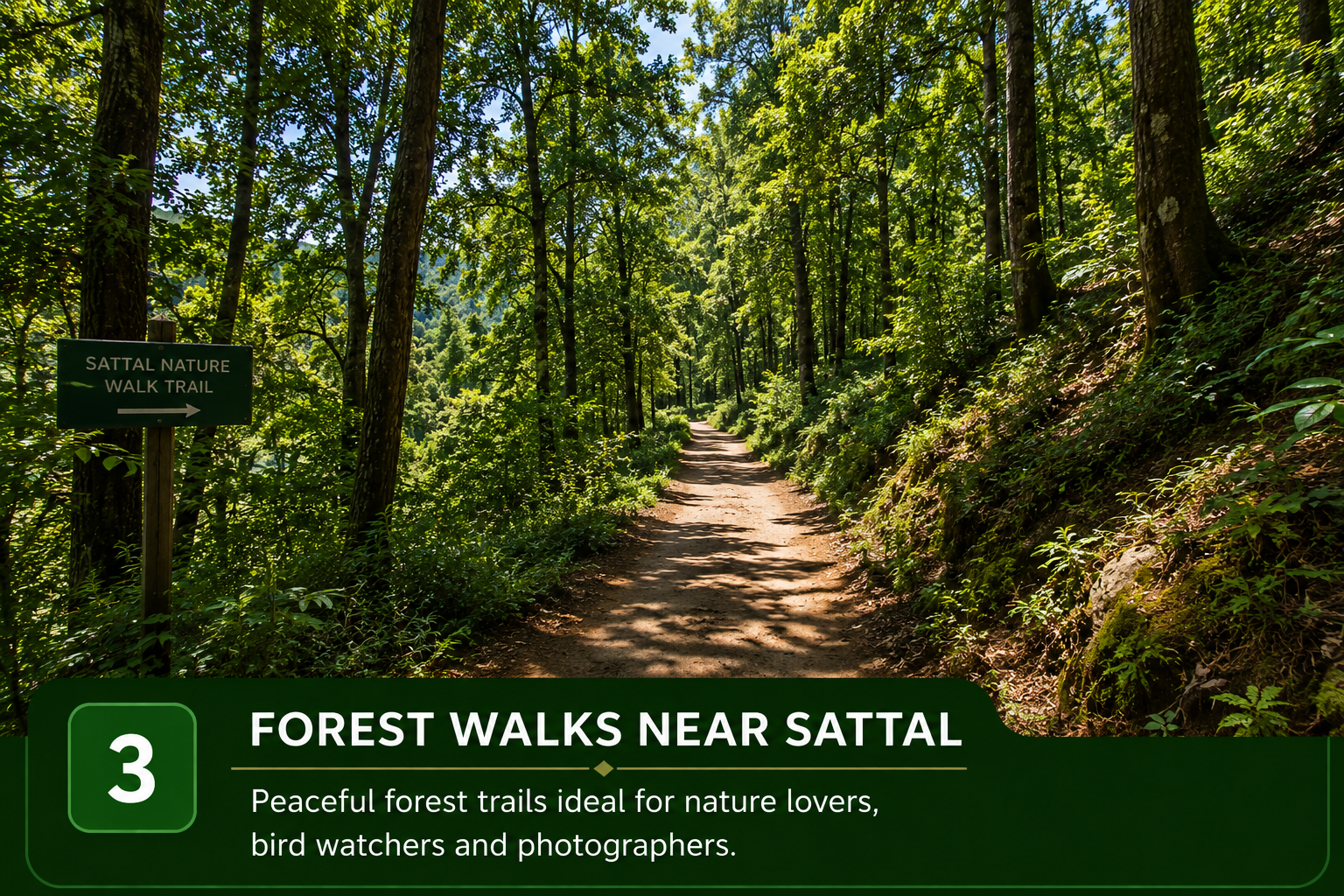 Sattal forest trail near Naukuchiatal